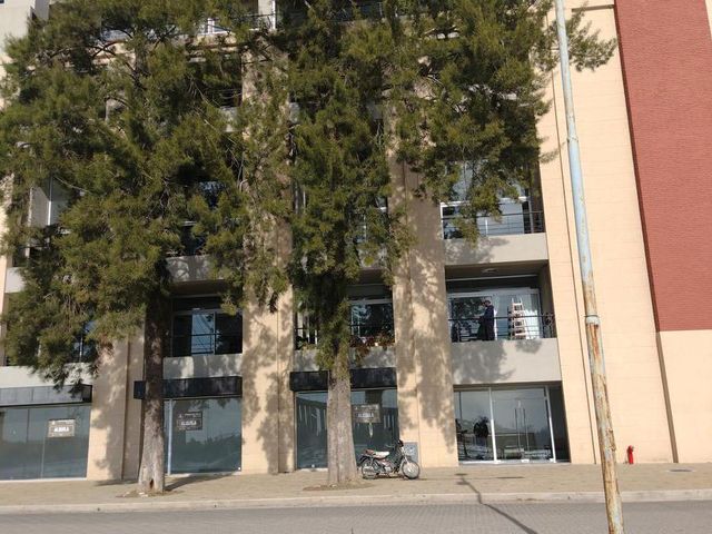 place photo 27