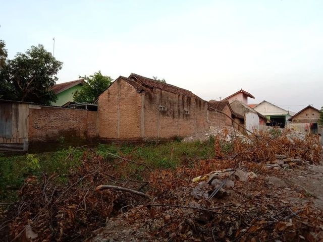 place photo 5