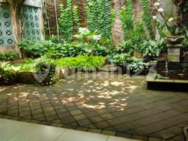 place photo 16