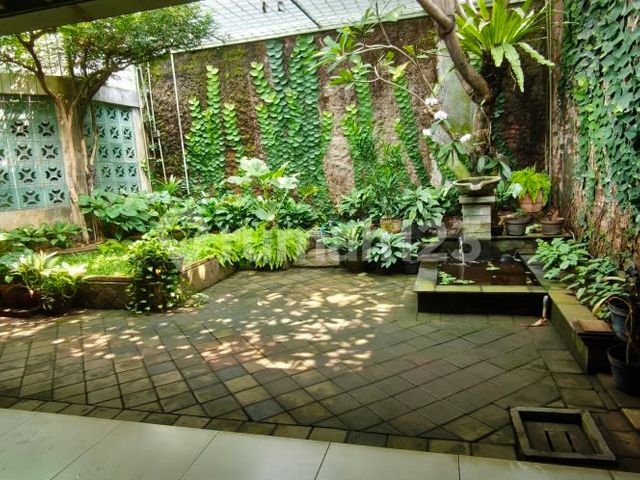 place photo 19