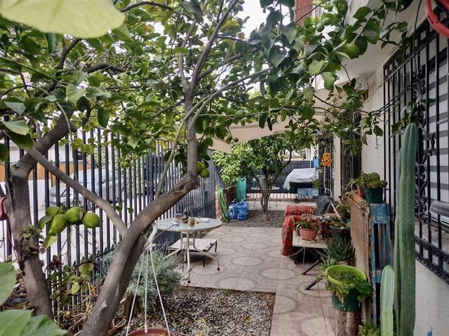 place photo 25