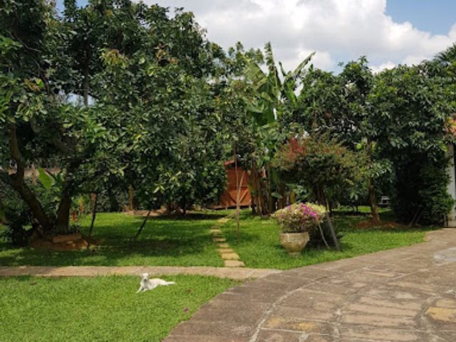 place photo 17