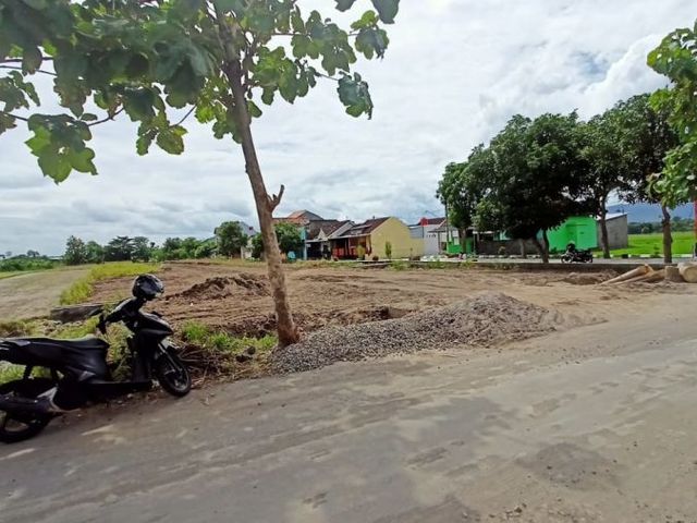 place photo 3