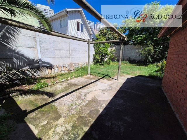 place photo 40