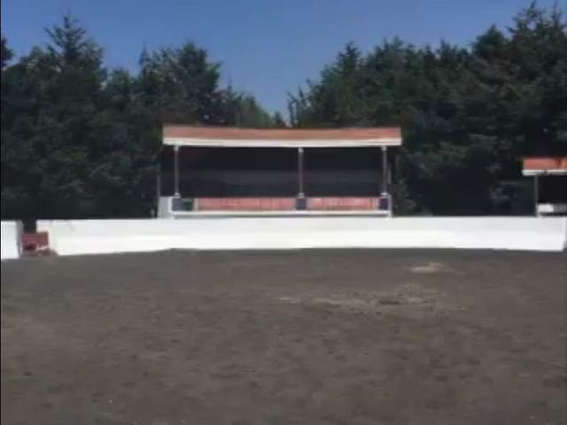 place photo 39