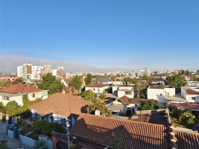 place photo 45