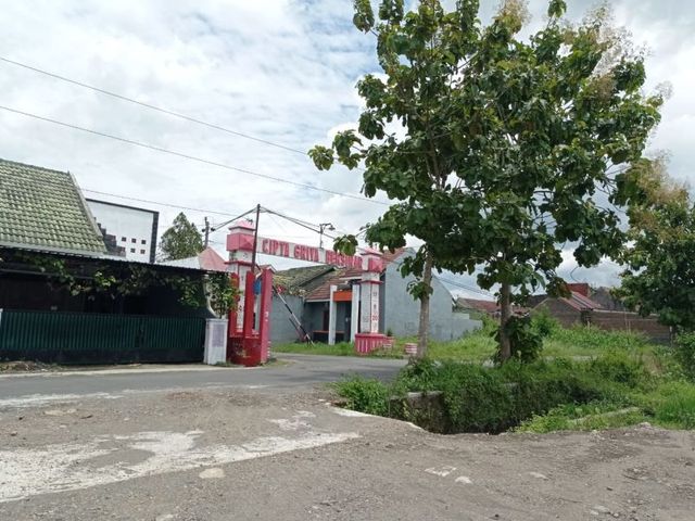 place photo 5