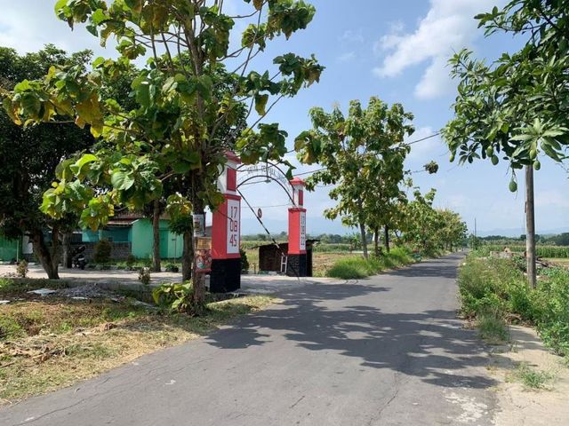 place photo 5