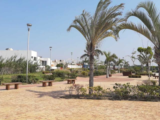 place photo 15