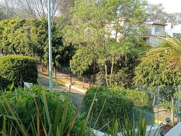 place photo 38