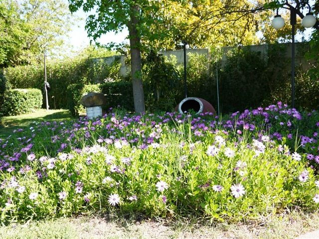 place photo 33