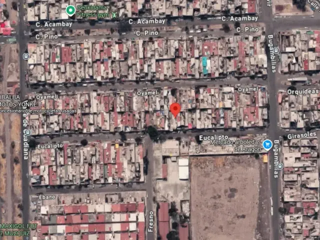 place photo 7