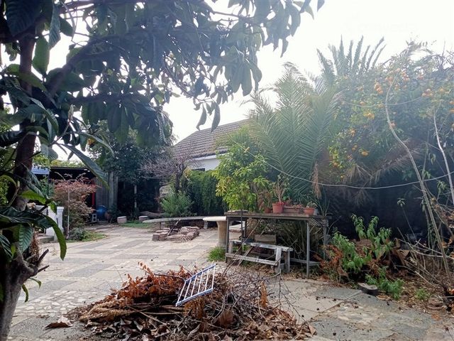 place photo 17