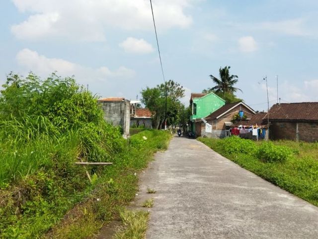 place photo 6