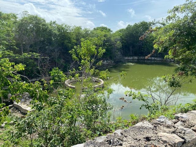 place photo 13