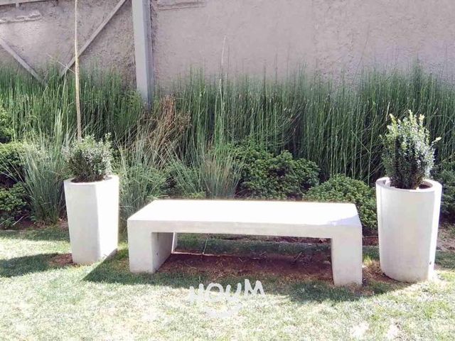 place photo 61