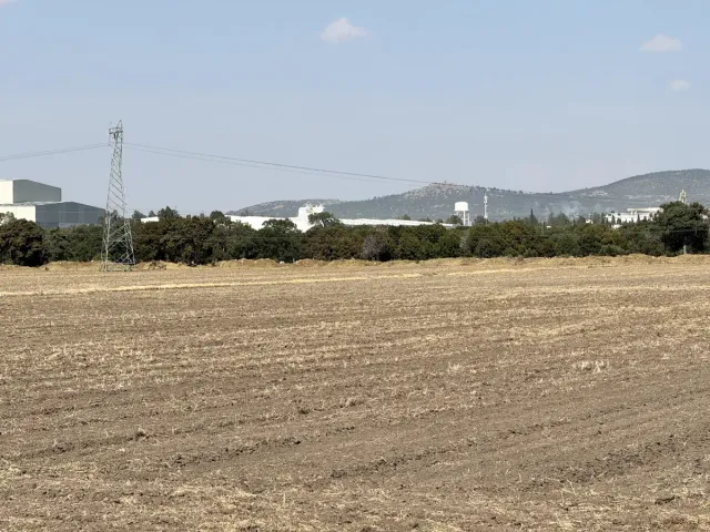 place photo 19