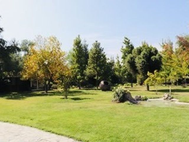 place photo 34