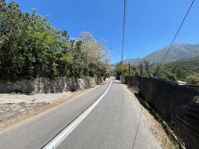 place photo 45