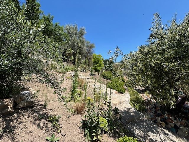 place photo 34