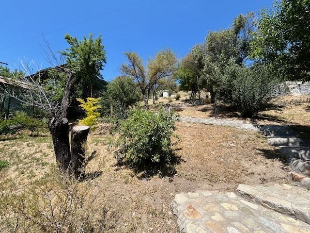 place photo 38