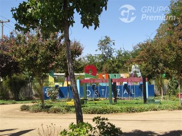 place photo 36