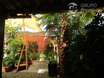 place photo 28
