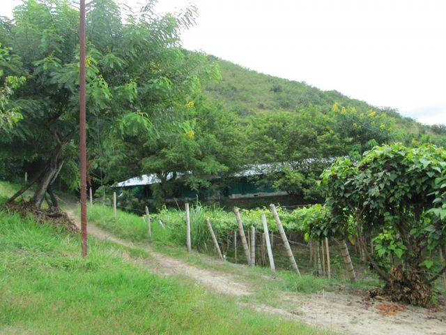 place photo 20