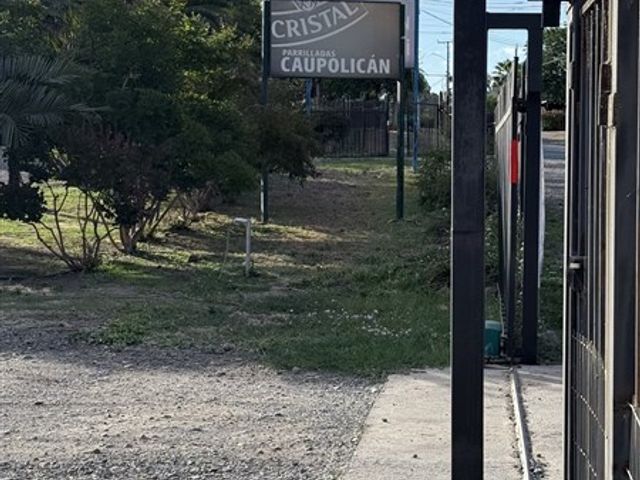 place photo 34