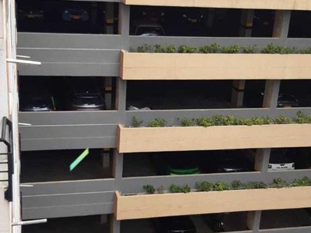 place photo 22