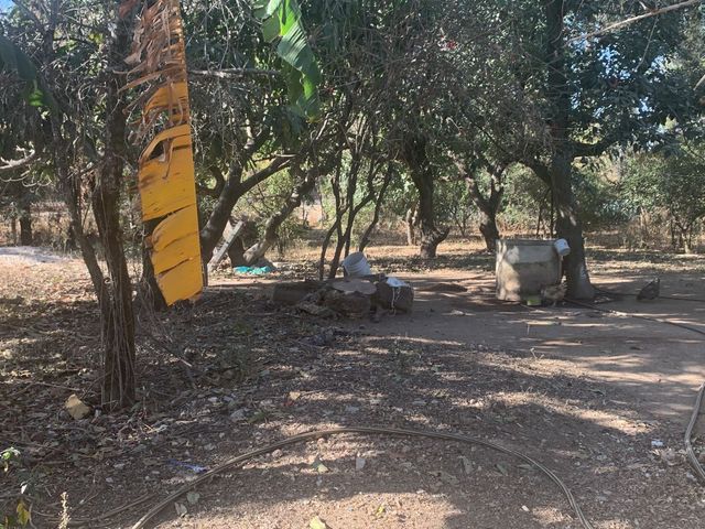 place photo 26