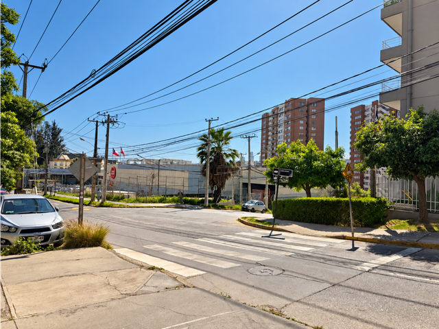 place photo 19