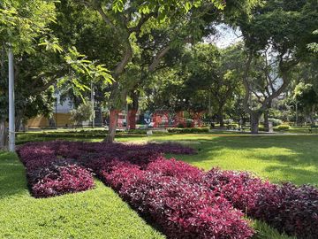 place photo 20
