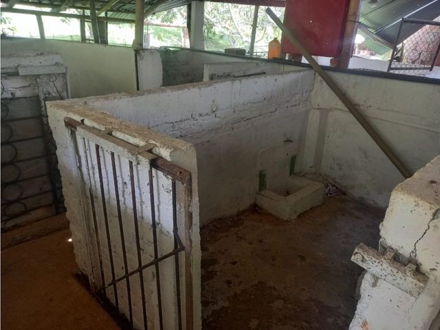 place photo 23