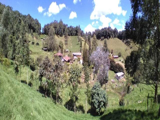 place photo 17