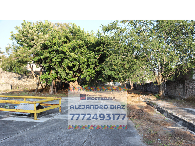 place photo 5