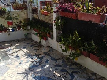 place photo 45