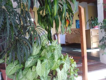 place photo 43