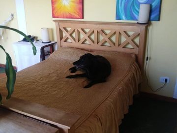 place photo 28