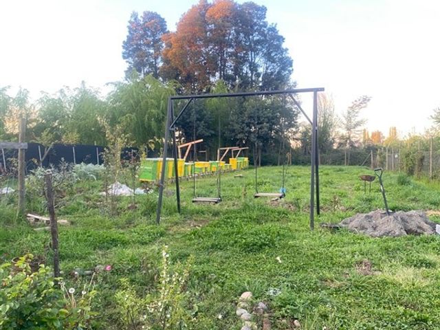 place photo 20