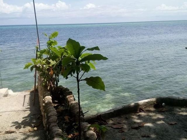 place photo 28