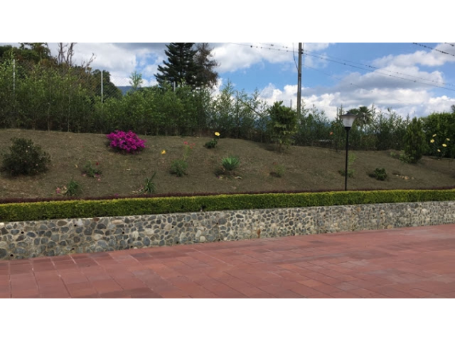 place photo 24