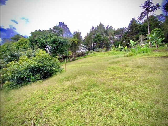 place photo 47