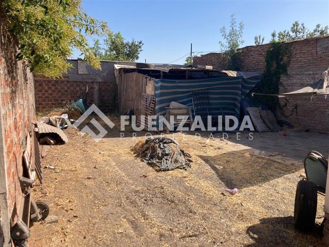 place photo 18