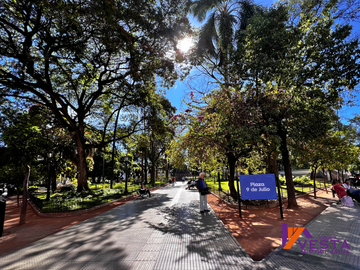 place photo 18