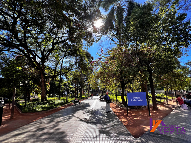 place photo 18
