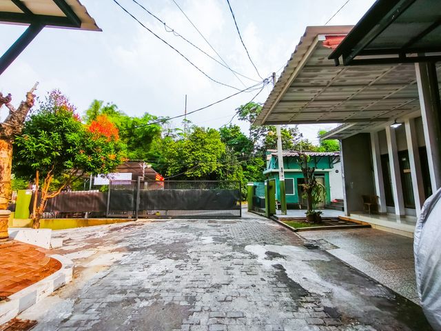 place photo 42