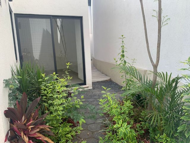 place photo 37