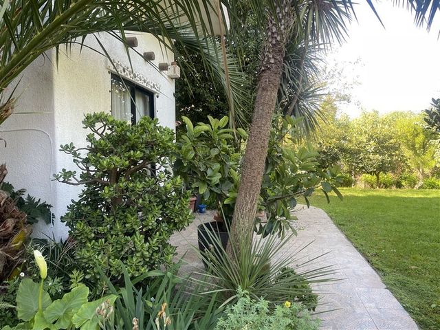 place photo 41