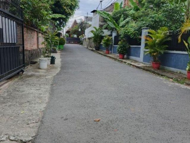 place photo 21
